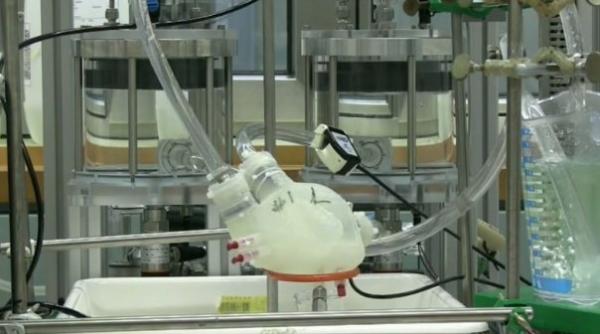 inima de silicon premiea in medicina cardiovasculara video