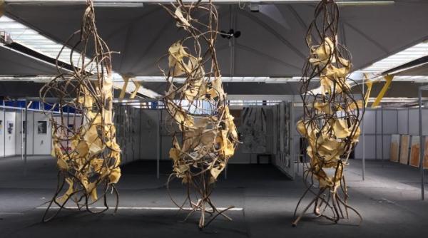 noii artisti vizuali ai scolii din cluj