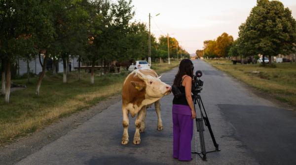 cinci filme documentare in cinci saptamani petrecute in romania la aristoteles workshop