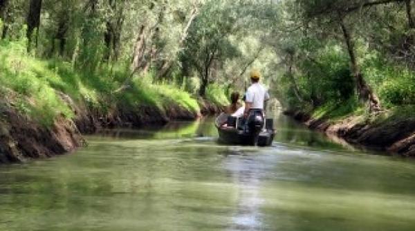 copil i unchiul sau ineca i in dunare