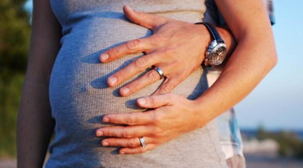 proiect de lege statul sus ine financiar inseminarea artificiala