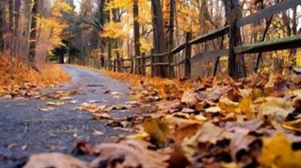 anm prognoza meteo vremea valori termice peste medie in perioada august octombrie