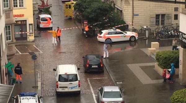 atac cu drujba in elve ia