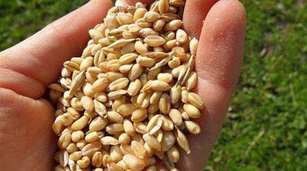 exporturile agroalimentare ale ue date de ultima ora