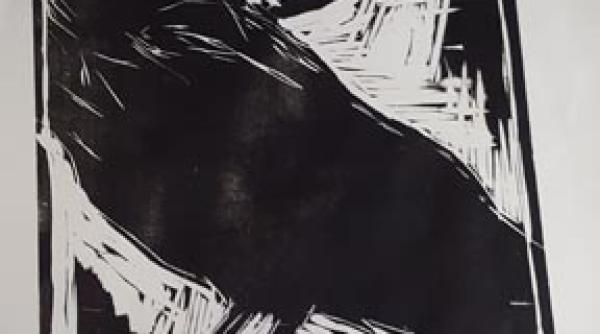 o selectie de gravori americani contemporani