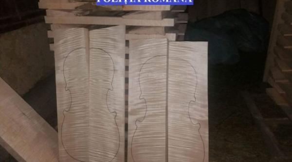 lemn valoare pe pia a neagra