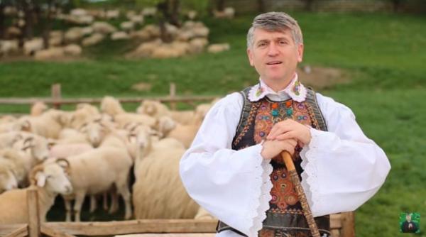 pomohaci ignora bor de ce a cerut suspendarea