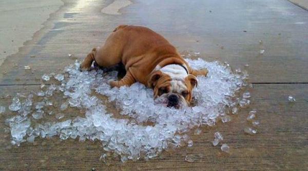 anm vremea pana pe 10 august cand vin ploile