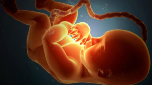 cercetatorii au corectat gene ale embrionilor umani premiera mondiala