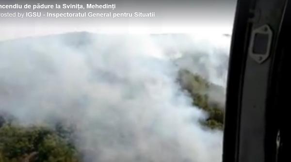 incendiu de padure la vini a interventie de amploare video