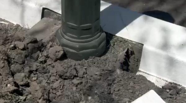 controversa borduri sector 4 daniel balu a ipocrizie nicu or dan expert in orice