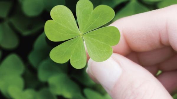 august zodiile care au noroc in luna august