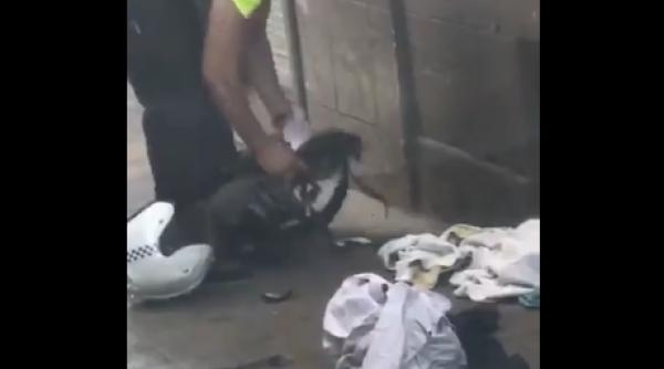 atentat barcelona unul dintre terori ti identificat poza