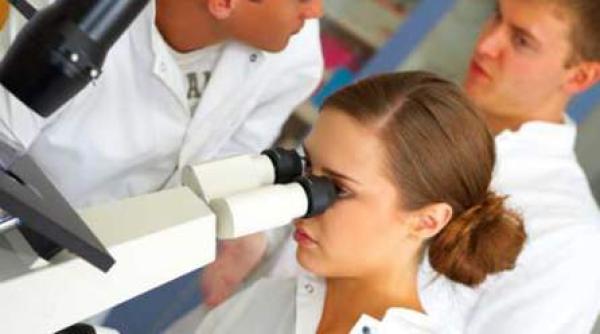 cercetatorii au descoperit cum au aparut primele animale