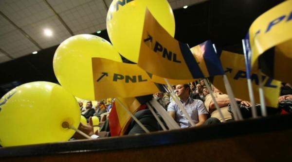 marga face praf pnl imbra i eaza corectitudinea politica i un stat de drept desfigurat