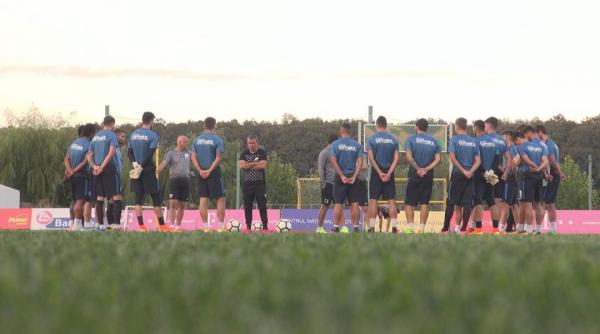 fc viitorul pleaca in austria