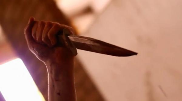 crima ocanta langa capitala un tanar i a ucis mama cu 15 lovituri de cu it