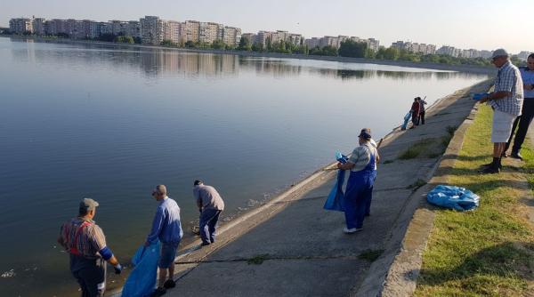 mii de pe ti mor i pe lacul morii anun oficial ce se intampla