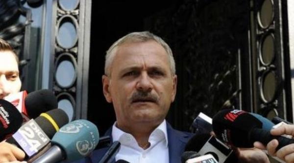 liviu dragnea referendum tema familiei