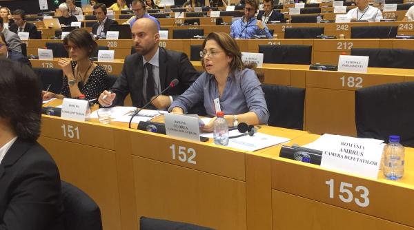 comisie ancheta alegeri oana florea precizari dupa protestul pnl