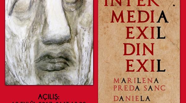 expo ovidius intermedia exil din exil cu ocazia anului interna ional ovidius