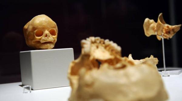 our body cum am bagat bani in industria mor ii interzis in fran a permis in romania