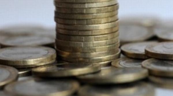 bnr o noua moneda in romania ce chip va fi gravat