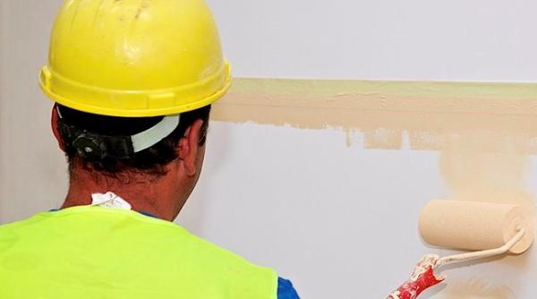 bancul zilei ajutoare la zugravit