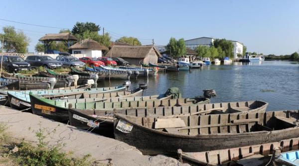 ambarca iuni delta a cui e delta