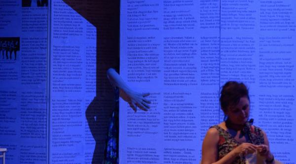 spectacolul homemade invitat la trei festivaluri