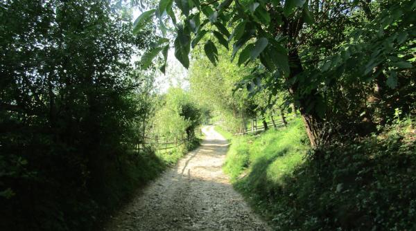 ce ascunde magura raiul romaniei de unde strainii n ar mai vrea sa plece video