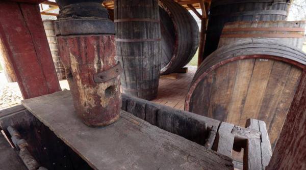 mustul cel mai bun medicament al acestei perioade