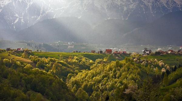 parcul national piatra craiului semn de circula ie ciudat