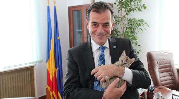 ludovic orban fotografie cu pisica noua colega antistres