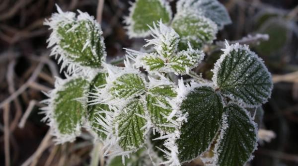 meteo ve ti proaste pentru weekend