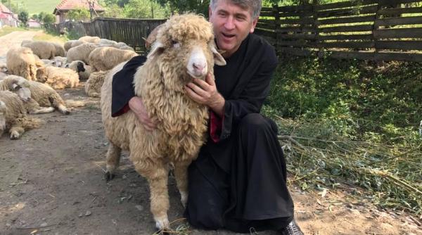 cristian pomohaci ar putea preda religia in coli bor reactie clara