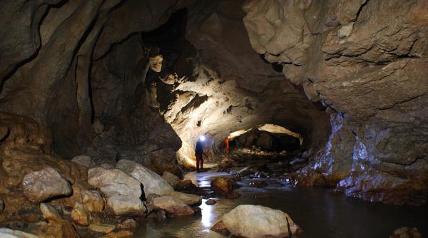 descoperirea care scoate la iveala ca suntem mai neanderthali decat credem