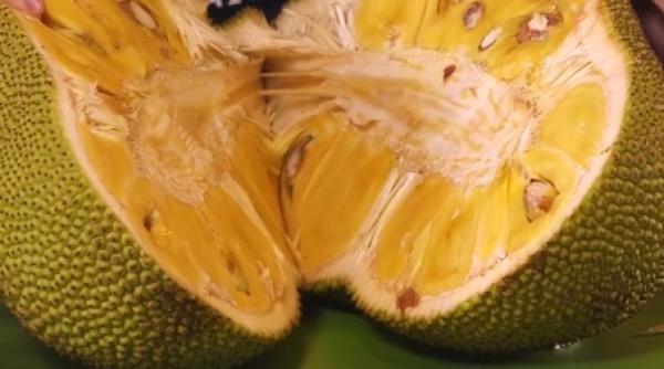 fruct gigantic considerat un miracol ce ar putea salva milioane de oameni