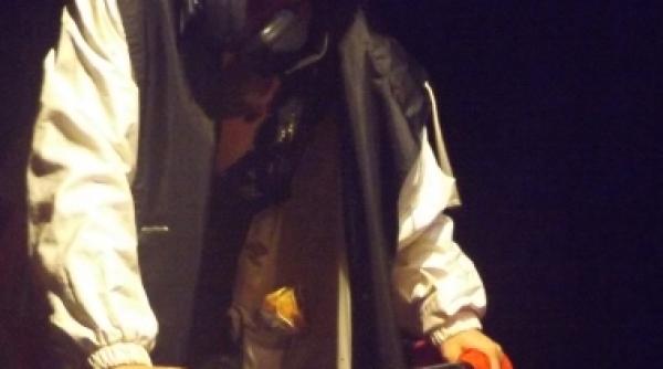 andreea bibiri premiu pentru o femeie singura