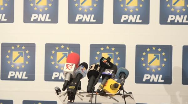 rovana plumb cerere dna cupsa noi am votat pentru