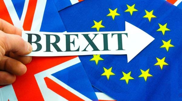 brexit oecd al doilea referendum propunere respinsa