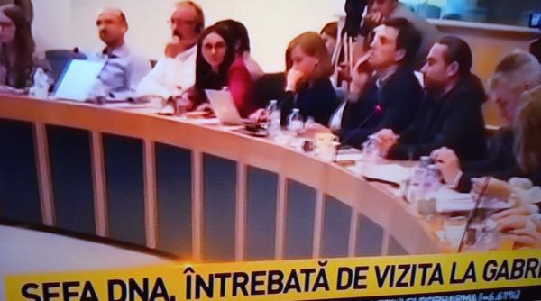 laura kovesi in parlamentul european liviu ple oianu intrebare pentru efa dna