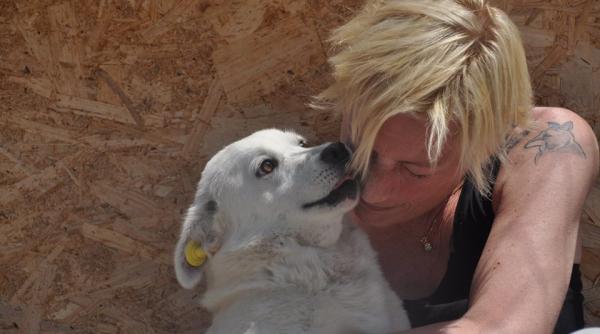 monique dubbeldam poli ista din olanda mar pentru animalele din romania