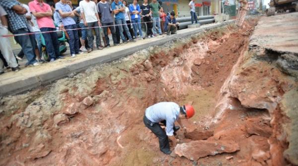 un nou tip de ou de dinozaur cercetatorii descoperire nea teptata