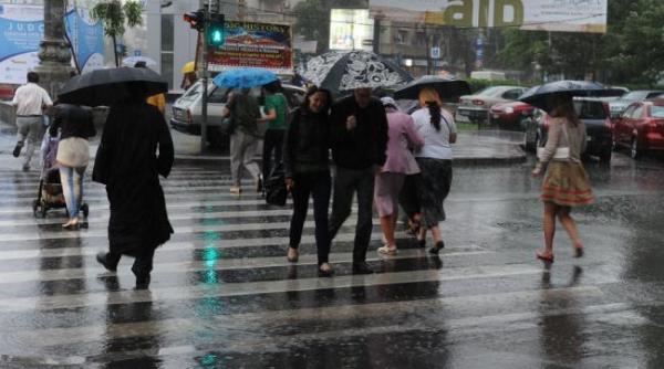 bucuresti ilfov 150 de copaci doborati de vant