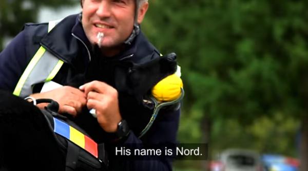nato elogiu cainilor salvatori din romania video