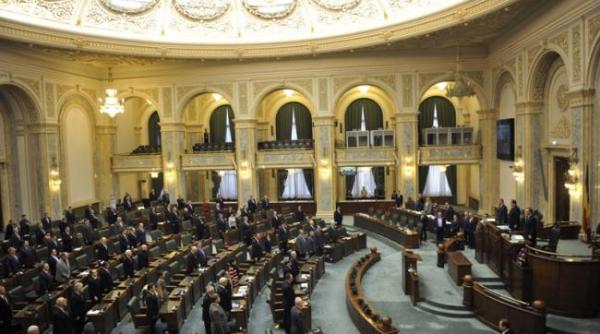 pensia de invaliditate decizie in comisia de munca din camera deputatilor