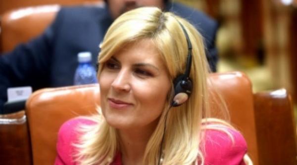 elena udrea intr un avion intors din drum roata defecta