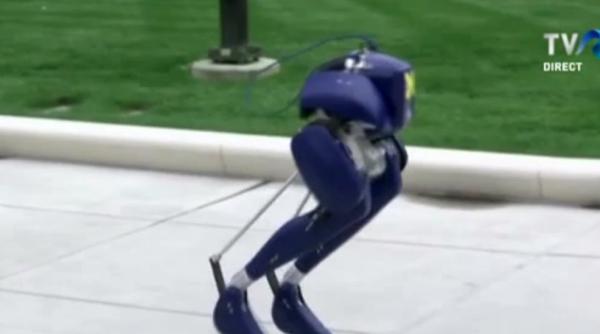 robot pasare opera iuni de salvare in situa ii limita