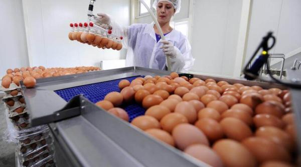 pre ul oualor cre tere uria a pia a lovita de criza